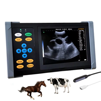 Zirgu ultraskaņas iekārta